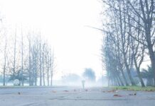 Proyecciones de invierno: Lluvias cortas e intensas seguidas de largos periodos de frío extremo