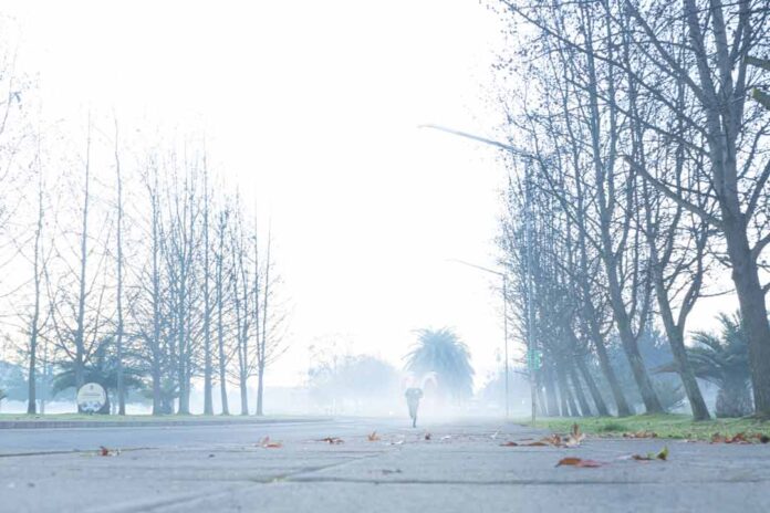 Proyecciones de invierno: Lluvias cortas e intensas seguidas de largos periodos de frío extremo