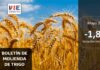 INE Biobío publica cifras de molienda de trigo correspondiente a mayo de 2025