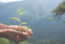 Día del Medio Ambiente: Empresas refuerzan su compromiso con el planeta