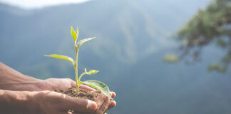 Día del Medio Ambiente: Empresas refuerzan su compromiso con el planeta