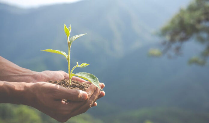 Día del Medio Ambiente: Empresas refuerzan su compromiso con el planeta
