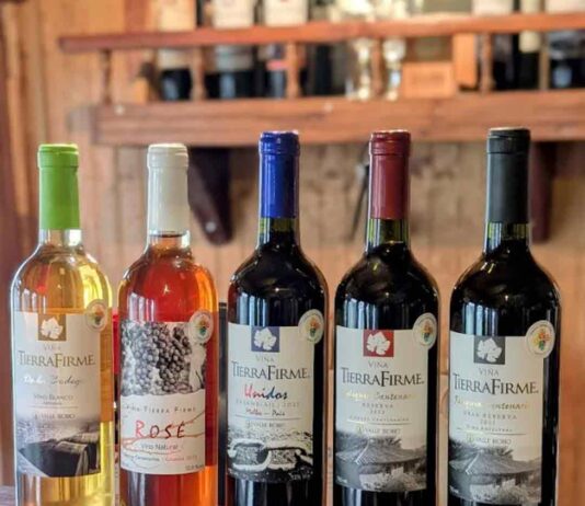 INDAP BIOBIO INVITA A POSTULAR AL SELLO MANOS CAMPESINAS A EMPRENDEDORES RURALES