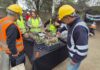 Educación ambiental en empresas: trabajadores de Volcán asisten a talleres de huertos urbanos