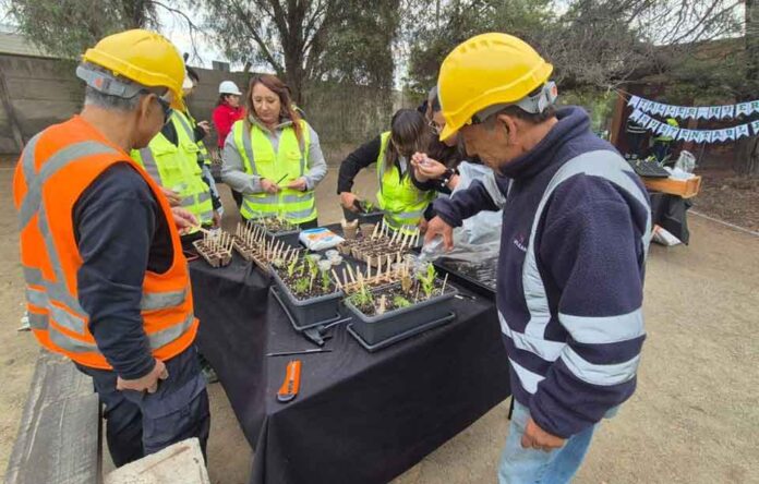 Educación ambiental en empresas: trabajadores de Volcán asisten a talleres de huertos urbanos