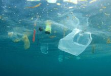 5 billones de bolsas plásticas al año: la amenaza invisible que podría contaminar el planeta por 500 años  