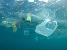 5 billones de bolsas plásticas al año: la amenaza invisible que podría contaminar el planeta por 500 años  