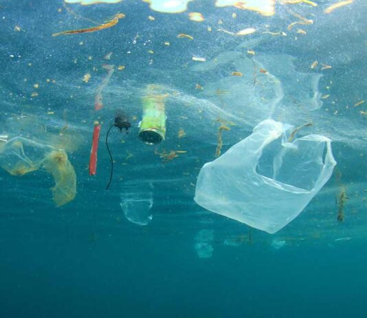 5 billones de bolsas plásticas al año: la amenaza invisible que podría contaminar el planeta por 500 años  
