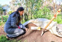 72 PEQUEÑOS PRODUCTORES DEL BIOBÍO CULMINAN SU FORMACIÓN EN PRÁCTICAS AGROECOLÓGICAS GRACIAS A INDAP