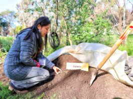 72 PEQUEÑOS PRODUCTORES DEL BIOBÍO CULMINAN SU FORMACIÓN EN PRÁCTICAS AGROECOLÓGICAS GRACIAS A INDAP