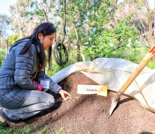 72 PEQUEÑOS PRODUCTORES DEL BIOBÍO CULMINAN SU FORMACIÓN EN PRÁCTICAS AGROECOLÓGICAS GRACIAS A INDAP