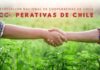 ANCCh anuncia propuestas programáticas para candidatos presidenciales en el marco del Día Internacional de las Cooperativas
