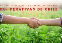 ANCCh anuncia propuestas programáticas para candidatos presidenciales en el marco del Día Internacional de las Cooperativas