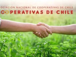 ANCCh anuncia propuestas programáticas para candidatos presidenciales en el marco del Día Internacional de las Cooperativas