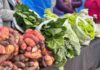 Agricultura y Salud invitan a participar en tercer seminario regional que promueve los sistemas alimentarios sostenibles