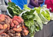 Agricultura y Salud invitan a participar en tercer seminario regional que promueve los sistemas alimentarios sostenibles