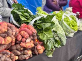 Agricultura y Salud invitan a participar en tercer seminario regional que promueve los sistemas alimentarios sostenibles