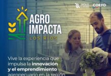 CIC Los Ríos será una de las sedes del evento AgroImpacta 2025 con jornada dedicada a la innovación agroalimentaria en Máfil