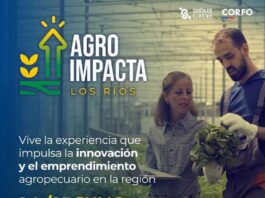 CIC Los Ríos será una de las sedes del evento AgroImpacta 2025 con jornada dedicada a la innovación agroalimentaria en Máfil