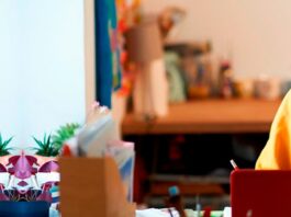 Becas del 50% de la OEA y Universidad Europea: Una oportunidad única para que los chilenos impulsen su futuro profesional