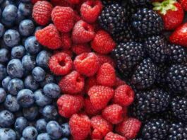 Berries Se incrementaron 24% las ventas en el Reino Unido en esta temporada