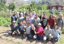 Biodiversidad: el valor de polinizadores, enemigos naturales y bandas florales en los agroecosistemas
