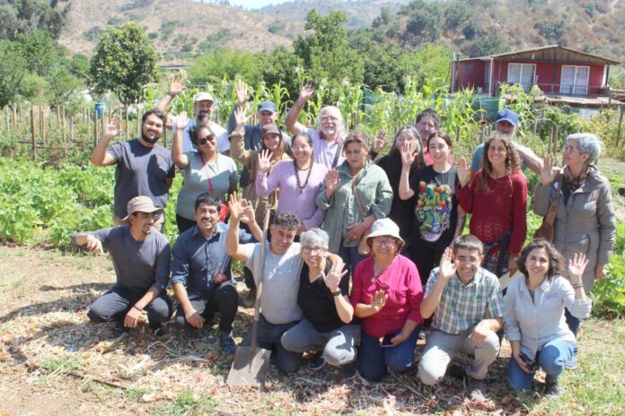 Biodiversidad: el valor de polinizadores, enemigos naturales y bandas florales en los agroecosistemas