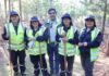 CONAF presenta avances y desafíos del Programa de Emergencia de Empleo con fuerte contratación femenina y participación multicultural