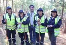 CONAF presenta avances y desafíos del Programa de Emergencia de Empleo con fuerte contratación femenina y participación multicultural