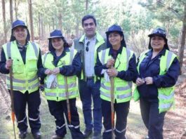 CONAF presenta avances y desafíos del Programa de Emergencia de Empleo con fuerte contratación femenina y participación multicultural
