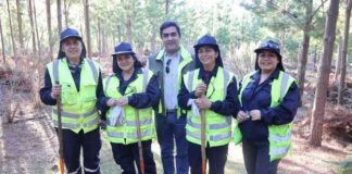 CONAF presenta avances y desafíos del Programa de Emergencia de Empleo con fuerte contratación femenina y participación multicultural