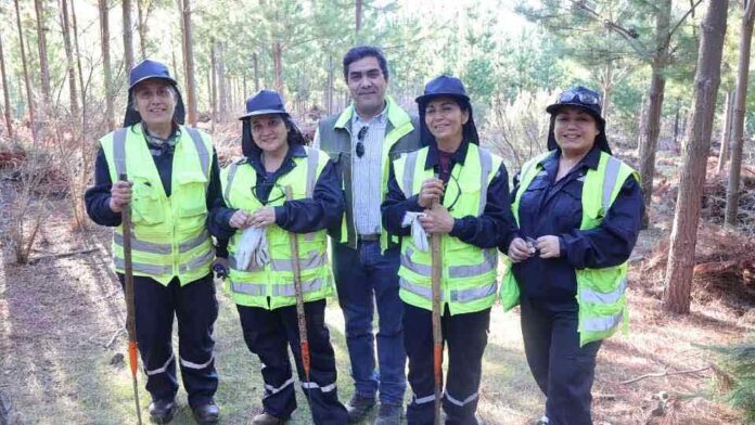 CONAF presenta avances y desafíos del Programa de Emergencia de Empleo con fuerte contratación femenina y participación multicultural