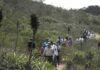 CONAF reactiva Consejo Consultivo del Parque Nacional Bosque Fray Jorge con amplia participación de actores locales