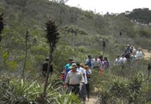 CONAF reactiva Consejo Consultivo del Parque Nacional Bosque Fray Jorge con amplia participación de actores locales