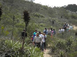 CONAF reactiva Consejo Consultivo del Parque Nacional Bosque Fray Jorge con amplia participación de actores locales