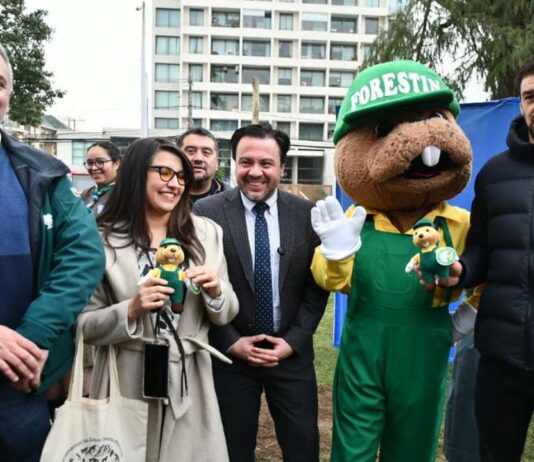 CONAF y Municipalidad de Maipú trabajan juntos destacando el rol del arbolado urbano