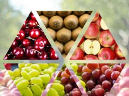 ProChile | Chile alcanza récord en exportaciones de alimentos gracias al impulso frutícola