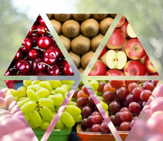 ProChile | Chile alcanza récord en exportaciones de alimentos gracias al impulso frutícola