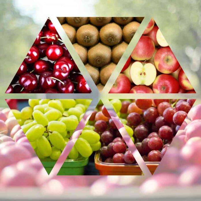 ProChile | Chile alcanza récord en exportaciones de alimentos gracias al impulso frutícola