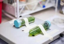 Chile da el primer paso hacia una política pública para el desarrollo de la biotecnología
