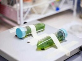 Chile da el primer paso hacia una política pública para el desarrollo de la biotecnología