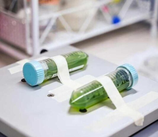 Chile da el primer paso hacia una política pública para el desarrollo de la biotecnología