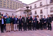 Chile e Indonesia firman protocolo fitosanitario para exportación de limones frescos