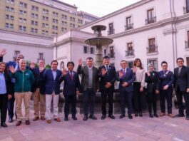 Chile e Indonesia firman protocolo fitosanitario para exportación de limones frescos