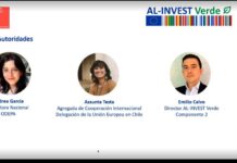 Chile presenta el primer diagnóstico técnico sobre el impacto del reglamento europeo de productos libres de deforestación (eudr) en las cadenas bovina y forestal