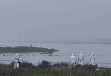 Chile, único país de Latinoamérica seleccionado por la FAO para liderar proyecto que fortalece la respuesta ante emergencias zoosanitarias
