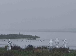Chile, único país de Latinoamérica seleccionado por la FAO para liderar proyecto que fortalece la respuesta ante emergencias zoosanitarias