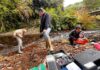 Ciencia Ciudadana: Organización Ser del Sur busca impulsar acciones de conservación a través del Huillín