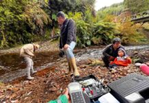 Ciencia Ciudadana: Organización Ser del Sur busca impulsar acciones de conservación a través del Huillín
