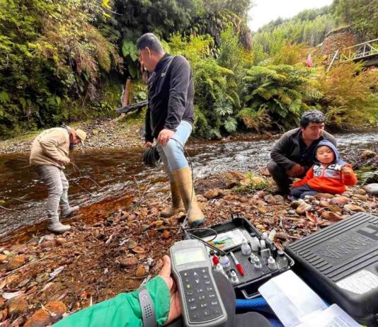 Ciencia Ciudadana: Organización Ser del Sur busca impulsar acciones de conservación a través del Huillín